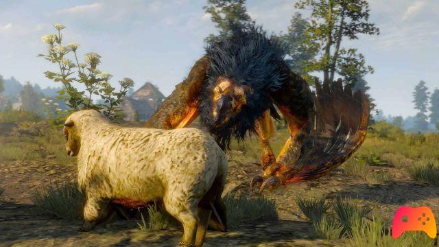 Guide atypique de The Witcher 3: tuer le griffon