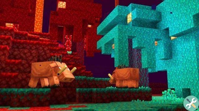 Erro «O jogo parou de funcionar» - O iniciador do Minecraft não funciona solução