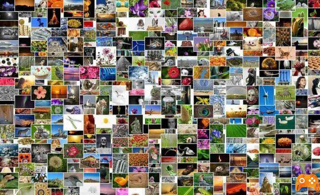 Aplicaciones de collage de fotos: las mejores para Android e iOS