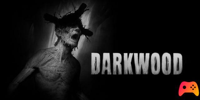 Darkwood - Revisión